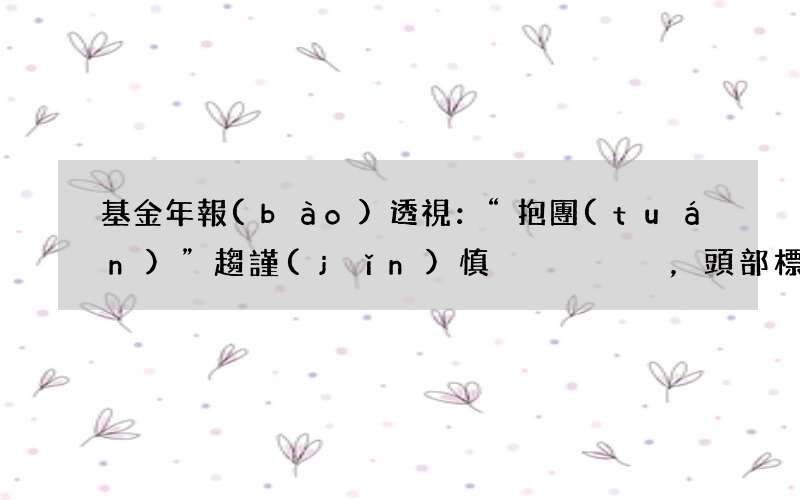 基金年報(bào)透視：“抱團(tuán)”趨謹(jǐn)慎，頭部標(biāo)的持股市值下滑